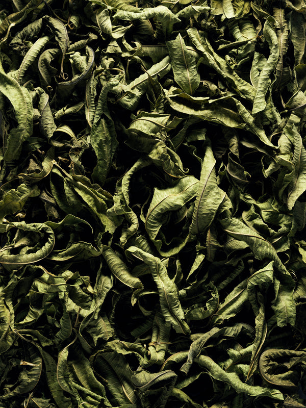 【 MARIEJEANNE 】EAU DE COLOGNE / - ADELE - 100ml