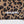 【 Liberaiders 】NYLON HALF SHORTS / Leopard