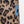 【 Liberaiders 】NYLON HALF SHORTS / Leopard