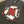 【 GRAPHIC WEAR & GOODS 】RED HOT CHILI PEPPERS / Blood Sugar Sex Magik