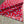 【 HAV-A-HANK 】TOSSED BONES BANDANA - MADE IN U.S.A. - / Red