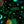 【 HAV-A-HANK 】BANDANA - MADE IN U.S.A. - / Celestin Glow