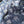 【m's braque】ALOHA SHIRT / Bluegrey Tigers