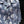 【m's braque】ALOHA SHIRT / Bluegrey Tigers
