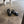 【BEAUTIFUL SHOES / ビューティフルシューズ】UTILITY SANDALS / Black