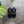 【BEAUTIFUL SHOES / ビューティフルシューズ】UTILITY SANDALS / Black