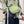 【hobo】AZUMA SHOULDER BAG S -PIG SUEDE- / Green