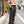 【m's braque】FLARE PANTS / Charcoal - Suede -