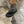 【BEAUTIFUL SHOES / ビューティフルシューズ】SETTA SANDALS / Black